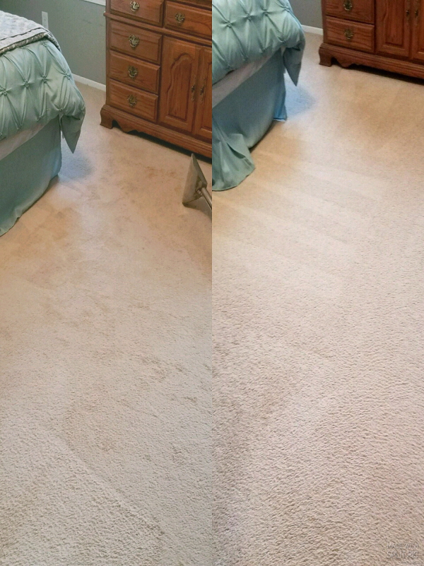 Carpet Care Services by Daves Carpet Cleaning (248) 495-4430