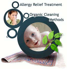 picture of allergy relief carpet cleaning