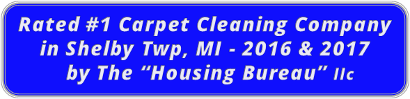 Voted Best Carpet Cleaning Compnay In Shebly Township MI