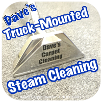 DCC CARPET STEAM CLEANING ICON200