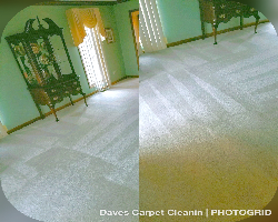 local carpet cleaning picture before and after job picture from daves carpet cleaning in rochester, mi