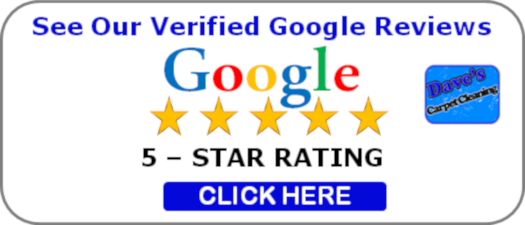 See Our Google Carpet Cleaning Busniess Reviews Online Here