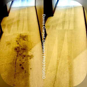 best local carpet cleaner picture of before and after near by