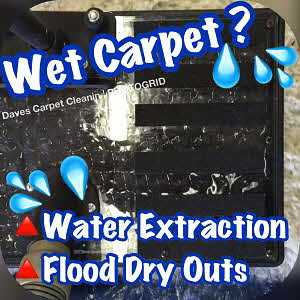 wet carpet drying company near you, daves carpet cleaning dries wet basement and doing local flood drying job pic 300x300px