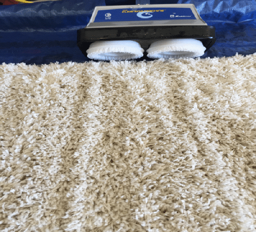 Picture of Area Rug Cleaning Scrubber in Rochester Hills, MI 48307