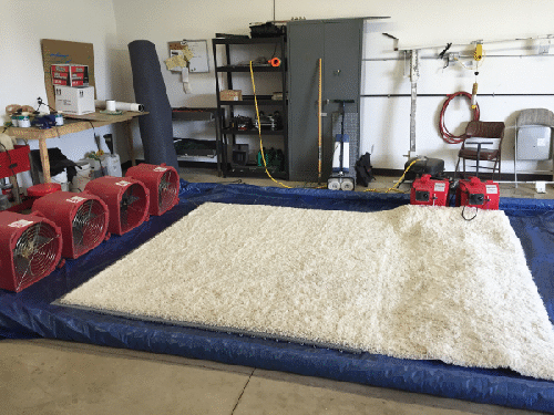 picture of Daves Carpet Cleaning in Rochester, MI cleaning area rugs