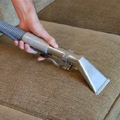 Pet stain and odor removal