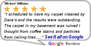 5-star Google review from Michael Williams praising outstanding carpet cleaning results